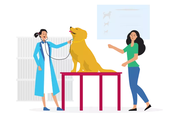 Veterinary Clinic